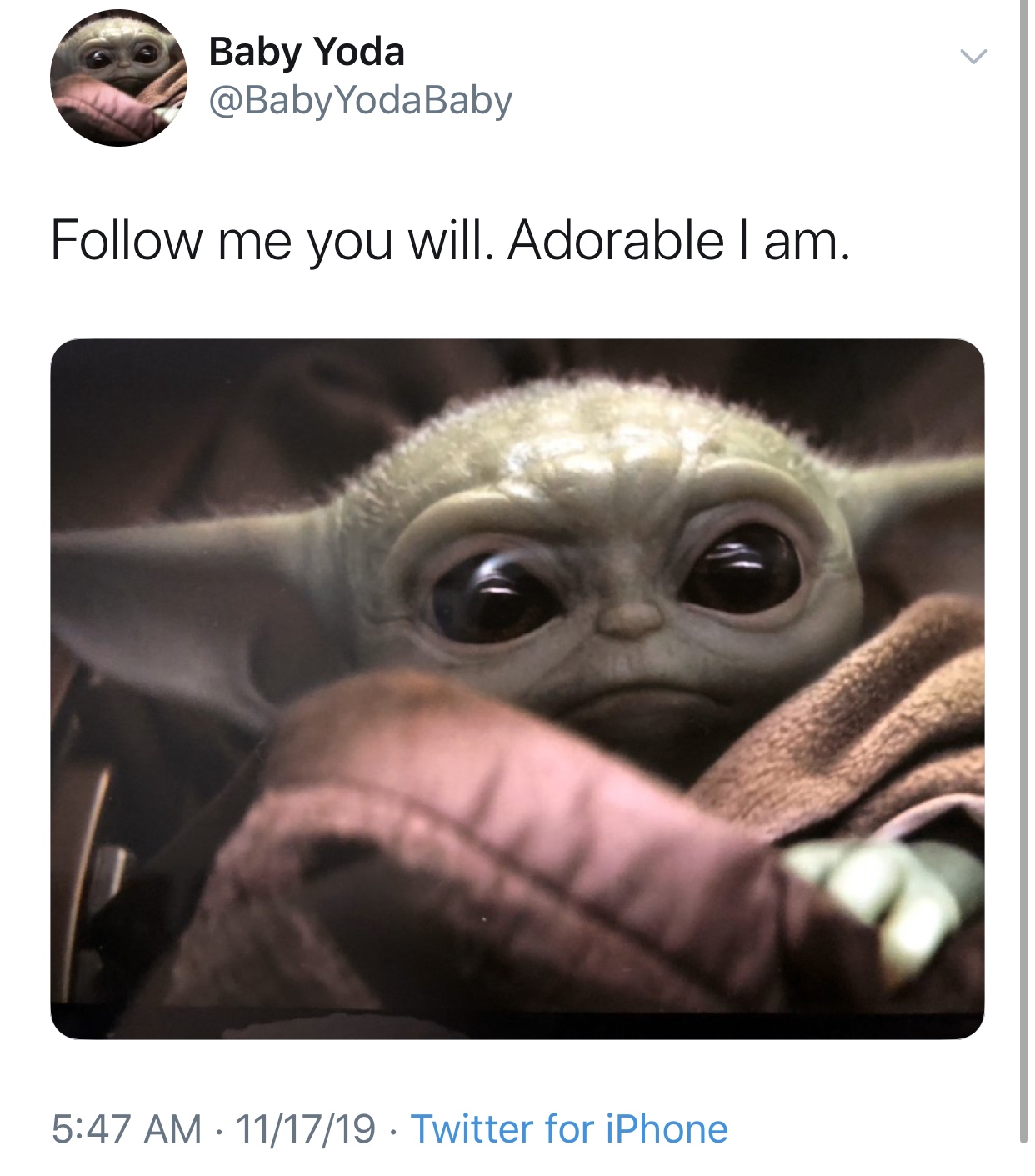 baby yoda meme - Baby Yoda me you will. Adorable I am. 111719 Twitter for iPhone