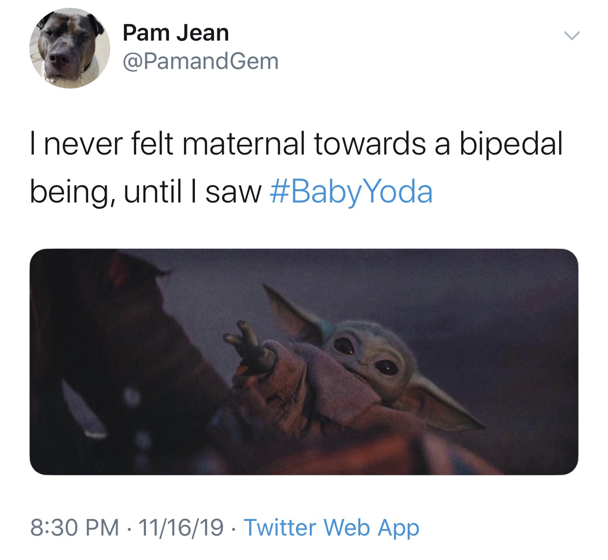 baby yoda meme - Pam Jean I never felt maternal towards a bipedal being, untill saw 111619 Twitter Web App