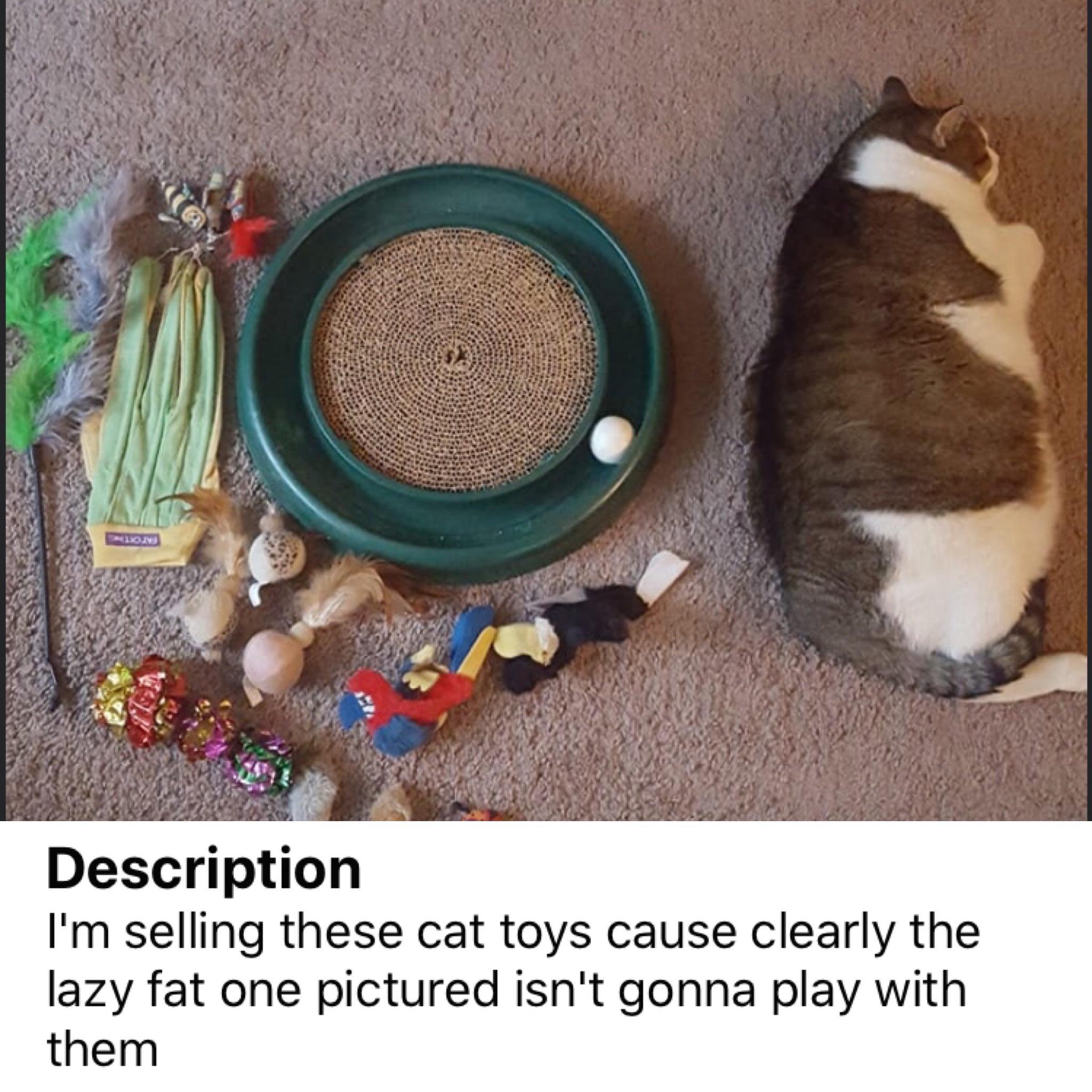 cat - Description I'm selling these cat toys cause clearly the lazy fat one pictured isn't gonna play with them