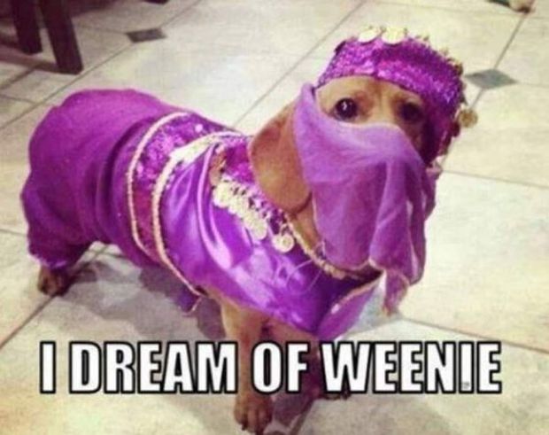 dream of weenie meme - Dream Of Weenie