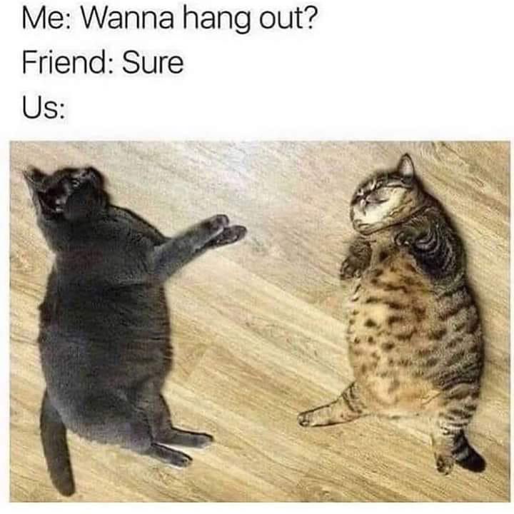wholesome meme - me and my friend hang out - Me Wanna hang out? Friend Sure Us