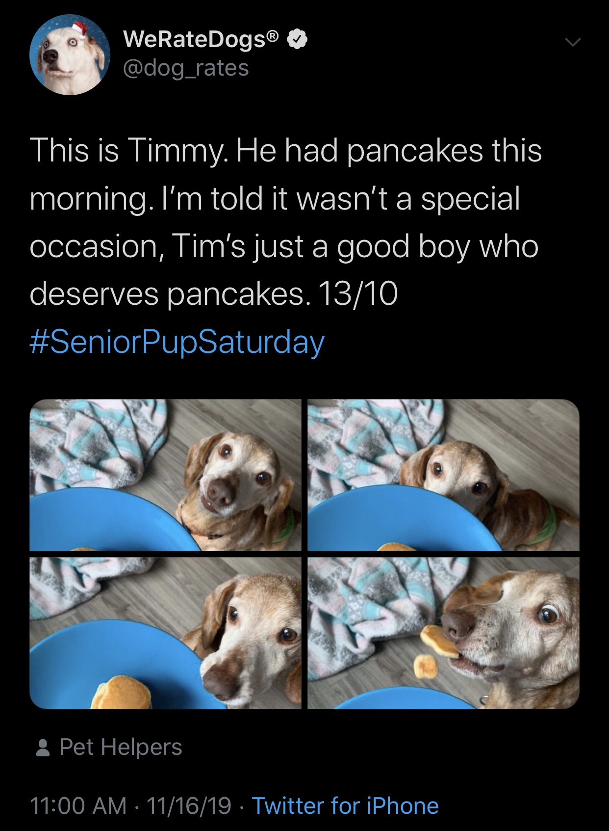 wholesome meme - photo caption - WeRateDogs rates This is Timmy. He had pancakes this morning. I'm told it wasn't a special occasion, Tim's just a good boy who deserves pancakes. 1310 Pet Helpers 111619 Twitter for iPhone