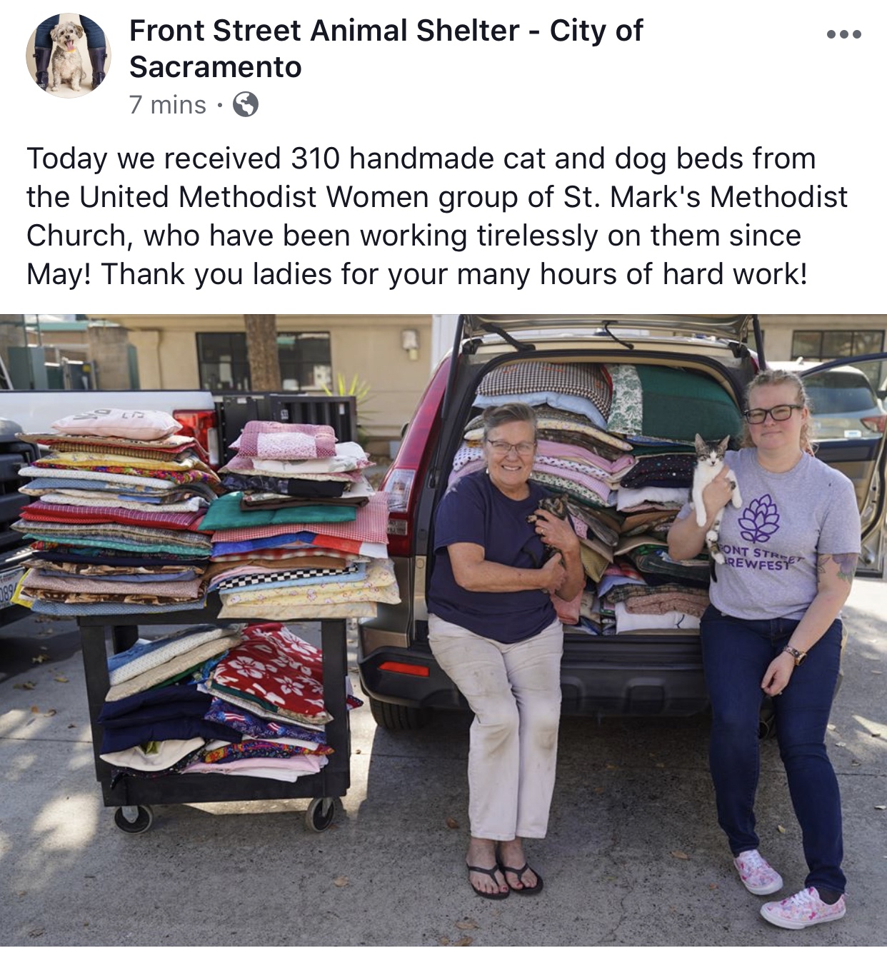 wholesome meme - car - Front Street Animal Shelter City of Sacramento 7 mins. Today we received 310 handmade cat and dog beds from the United Methodist Women group of St. Mark's Methodist Church, who have been working tirelessly on them since May! Thank y
