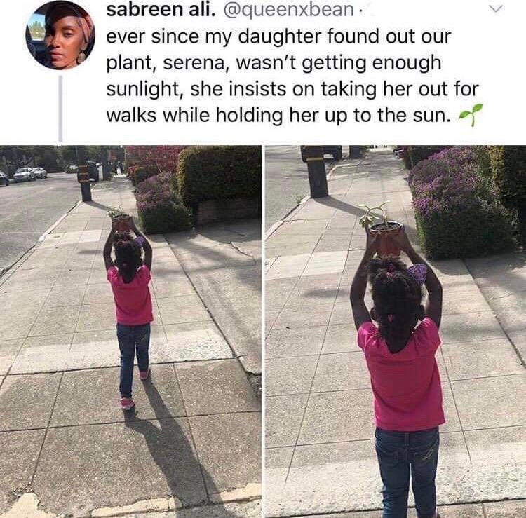 wholesome meme - play - sabreen ali. ever since my daughter found out our plant, serena, wasn't getting enough sunlight, she insists on taking her out for walks while holding her up to the sun.