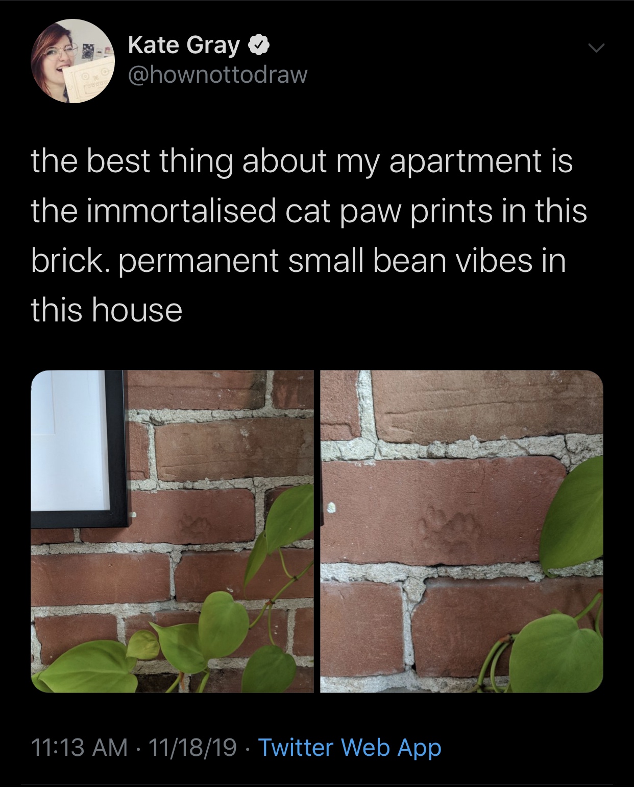 wholesome meme - angle - Kate Gray the best thing about my apartment is the immortalised cat paw prints in this brick. permanent small bean vibes in this house 111819 . Twitter Web App