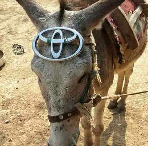 funny toyota camry