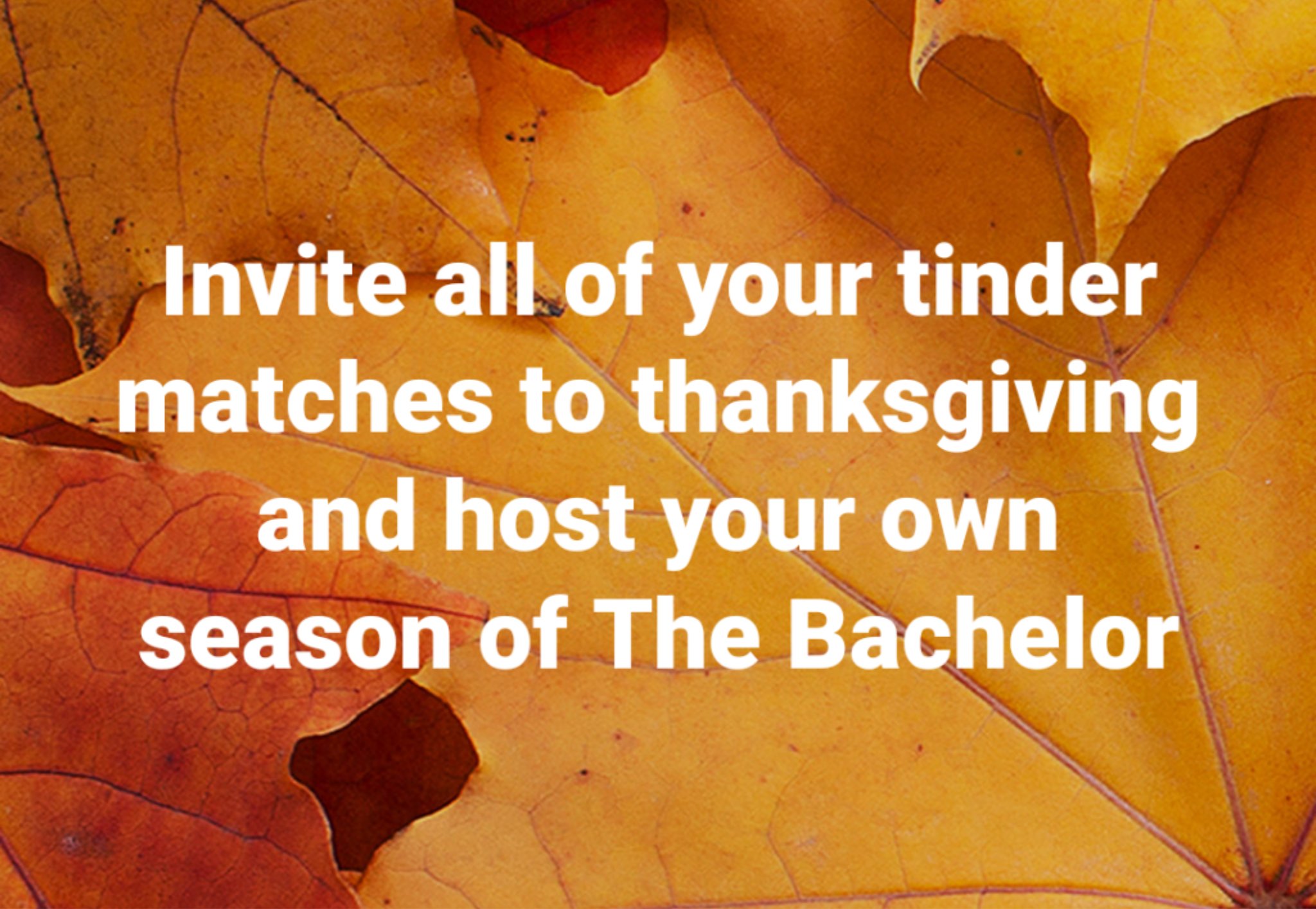 princeton junction - Invite all of your tinder matches to thanksgiving and host your own season of The Bachelor