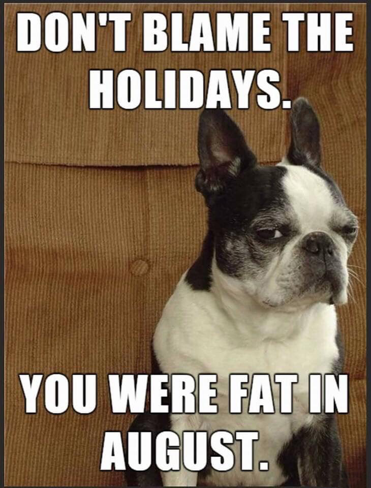 dont blame the holidays - Don'T Blame The Holidays. You Were Fat In August.