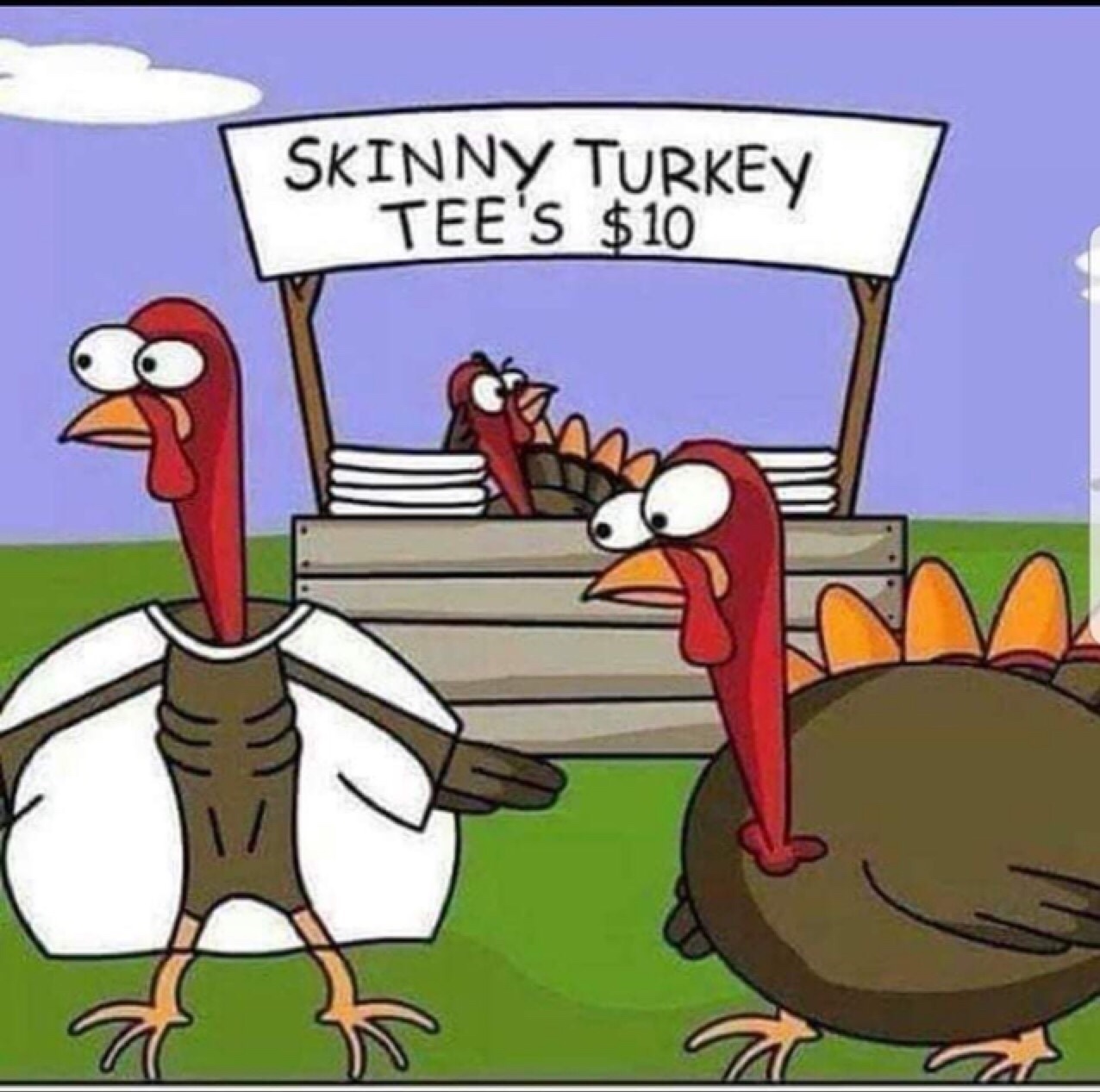 skinny turkey - Skinny Turkey Tee'S $10 2