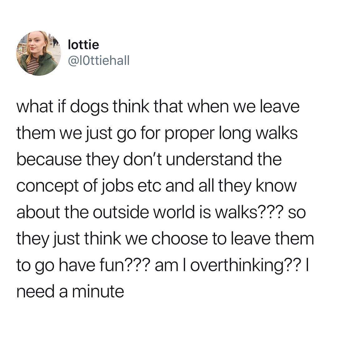 keeps arby's in business - lottie what if dogs think that when we leave them we just go for proper long walks because they don't understand the concept of jobs etc and all they know about the outside world is walks??? so they just think we choose to leave