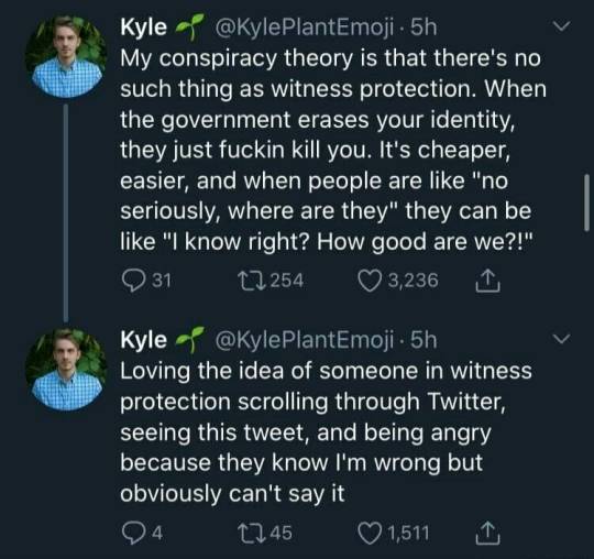 screenshot - Kyle . 5h My conspiracy theory is that there's no such thing as witness protection. When the government erases your identity, they just fuckin kill you. It's cheaper, easier, and when people are "no seriously, where are they" they can be "I k