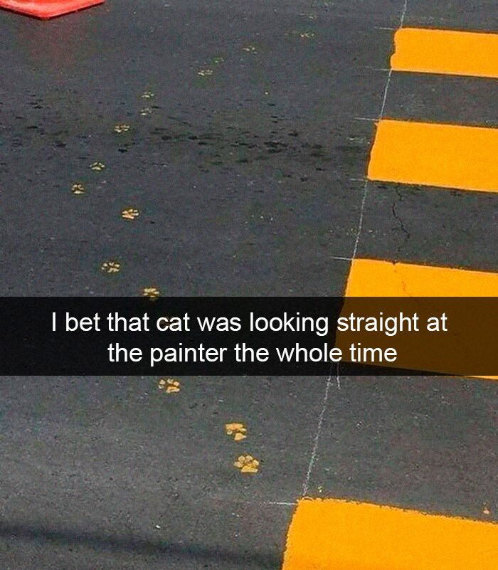 Cat - I bet that cat was looking straight at the painter the whole time