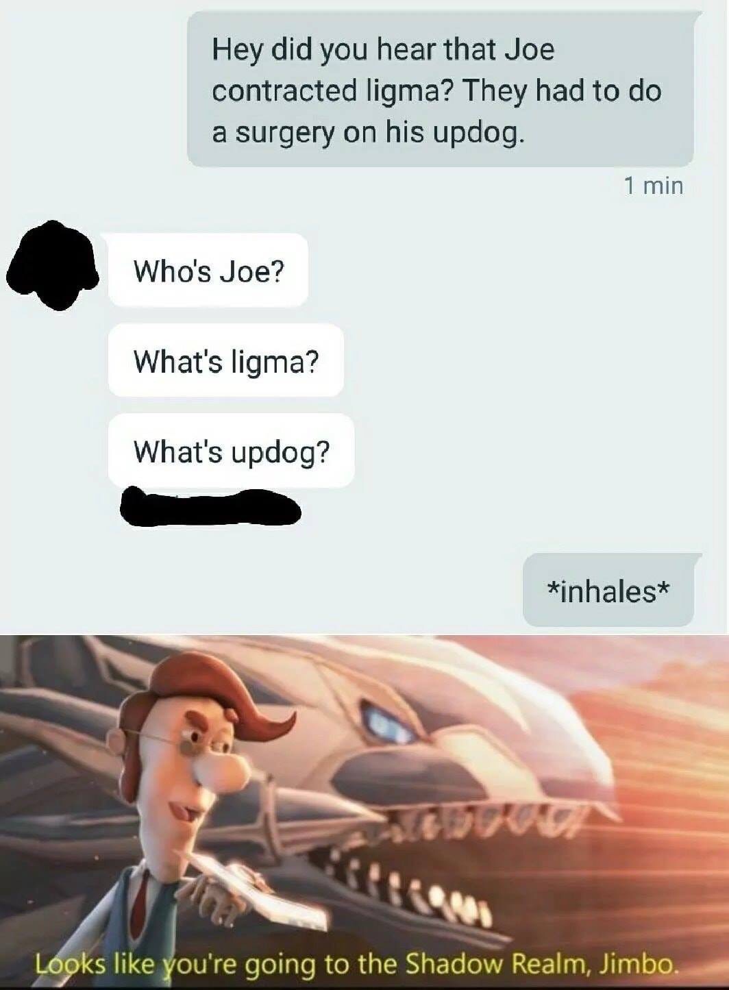 looks like you re going to the shadow realm jimbo - Hey did you hear that Joe contracted ligma? They had to do a surgery on his updog. 1 min Who's Joe? What's ligma? What's updog? inhales Looks you're going to the Shadow Realm, Jimbo.