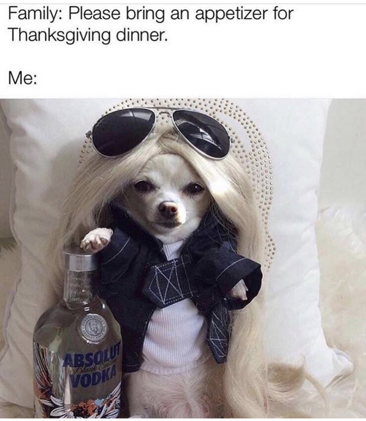 Family Please bring an appetizer for Thanksgiving dinner. Me Vodka