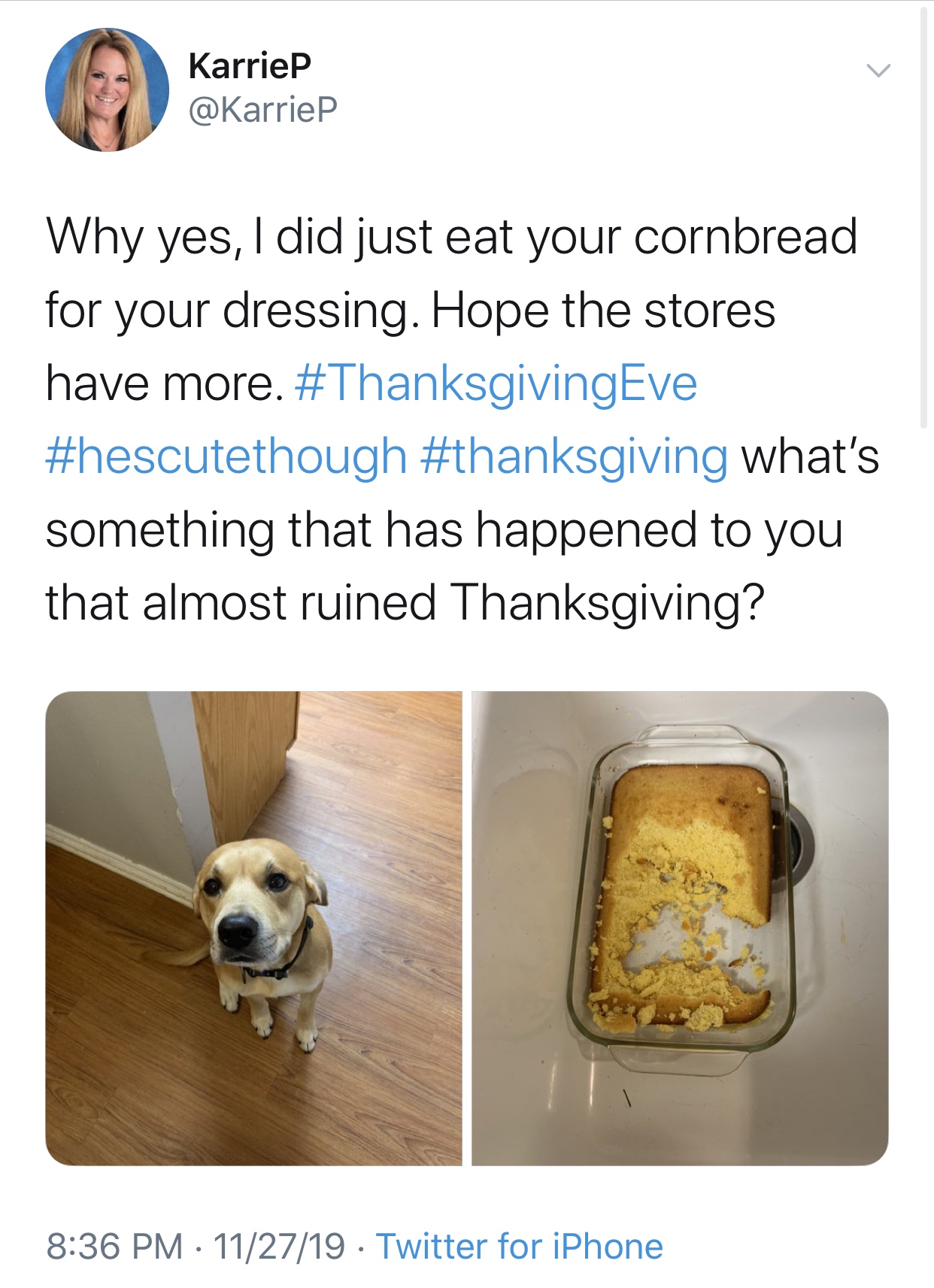dog - Karriep Why yes, I did just eat your cornbread for your dressing. Hope the stores have more. Eve what's something that has happened to you that almost ruined Thanksgiving? 112719 Twitter for iPhone