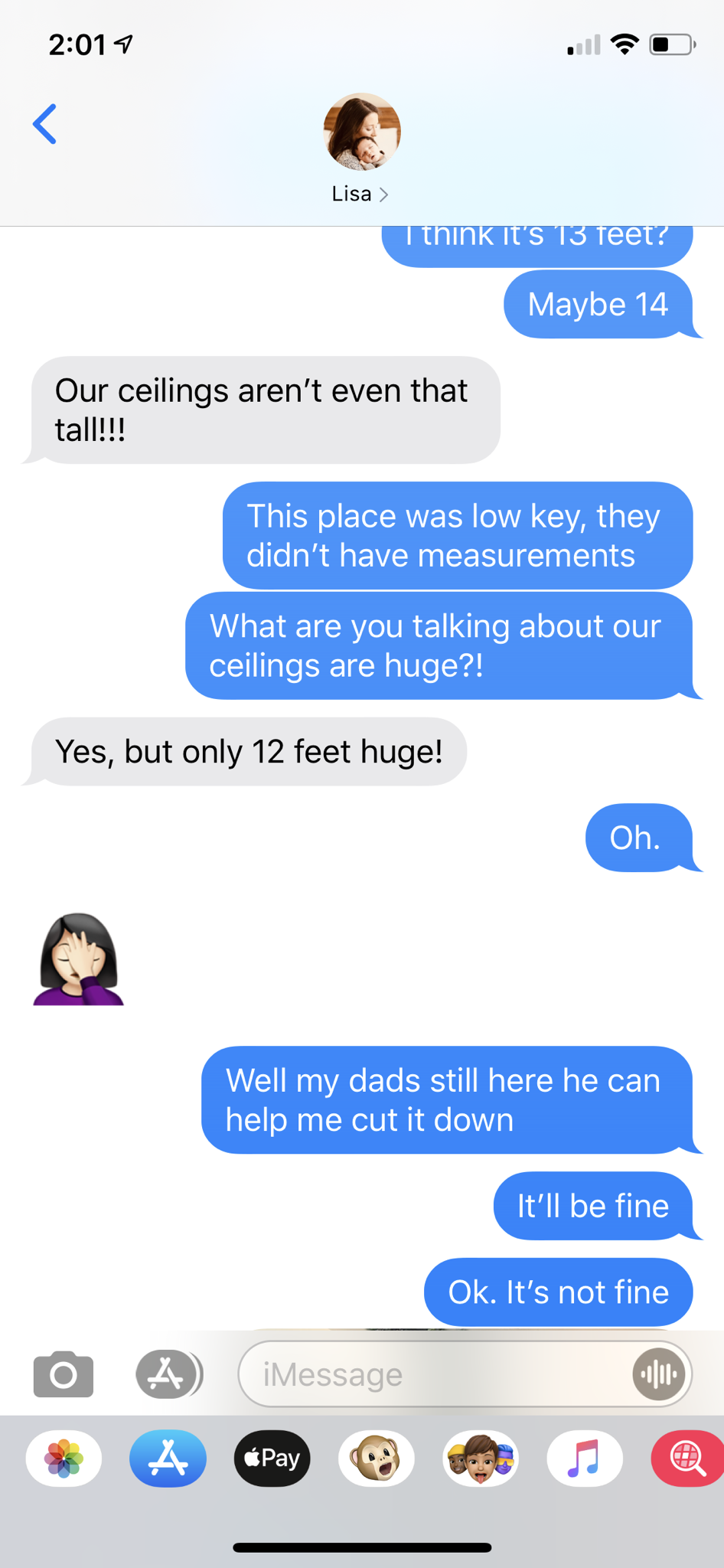 thank you for shopping shipt - 1 Khs 13 Teer Maybe 14 Our ceilings aren't even that tall!!! This place was low key, they didn't have measurements What are you talking about our ceilings are huge?! Yes, but only 12 feet huge! Oh. Well my dads still here he