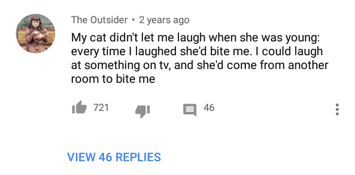 angle - The Outsider 2 years ago My cat didn't let me laugh when she was young every time I laughed she'd bite me. I could laugh at something on tv, and she'd come from another room to bite me it 721 g E46 View 46 Replies