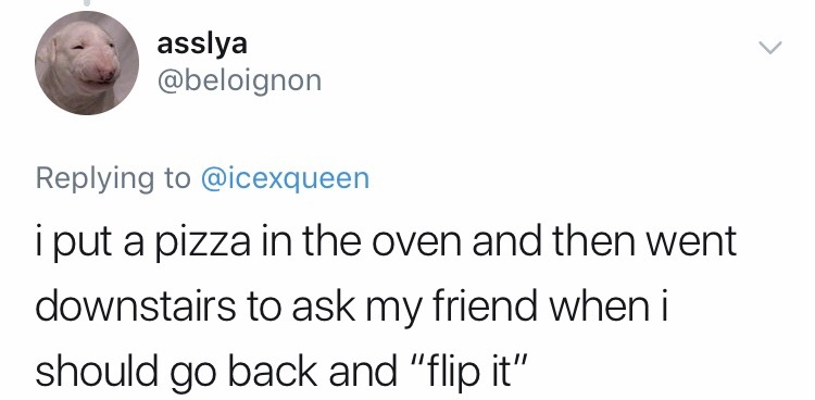 angle - asslya i put a pizza in the oven and then went downstairs to ask my friend when i should go back and "flip it"