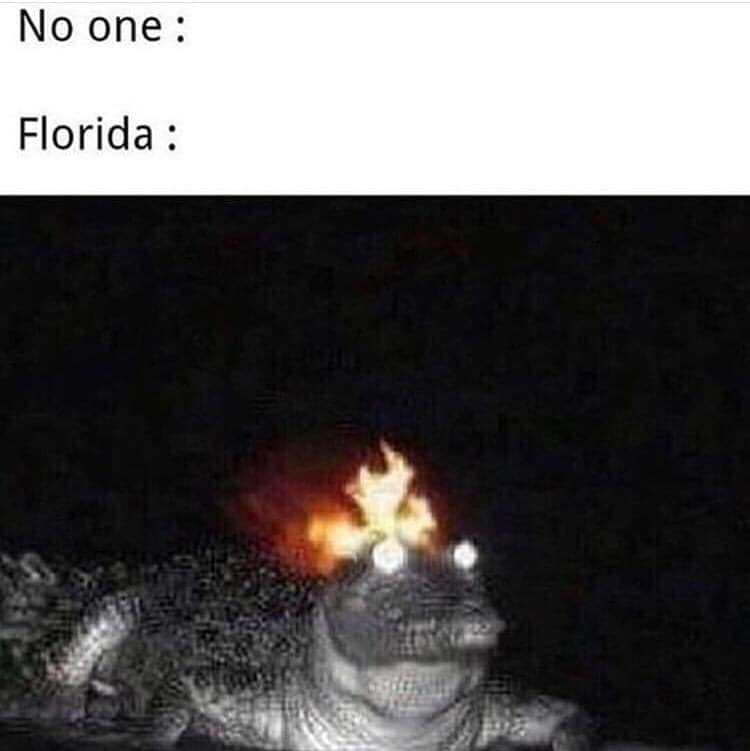 goodnight mr flamegator - No one Florida