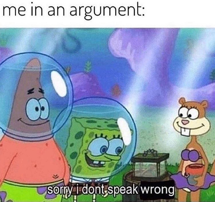 don t speak wrong meme - me in an argument sorry i dontspeak wrong
