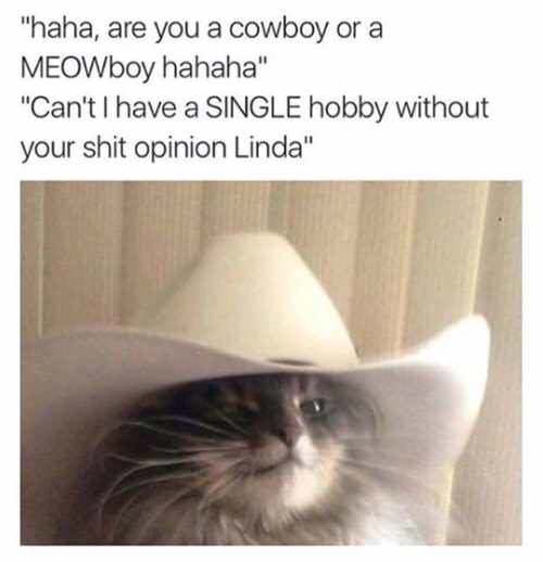 "haha, are you a cowboy or a MEOWboy hahaha" "Can't I have a Single hobby without your shit opinion Linda"