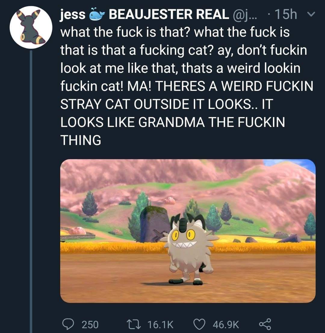 galarian meowth meme - jess @ Beaujester Real ... 15h v what the fuck is that? what the fuck is that is that a fucking cat? ay, don't fuckin look at me that, thats a weird lookin fuckin cat! Ma! Theres A Weird Fuckin Stray Cat Outside It Looks.. It Looks 