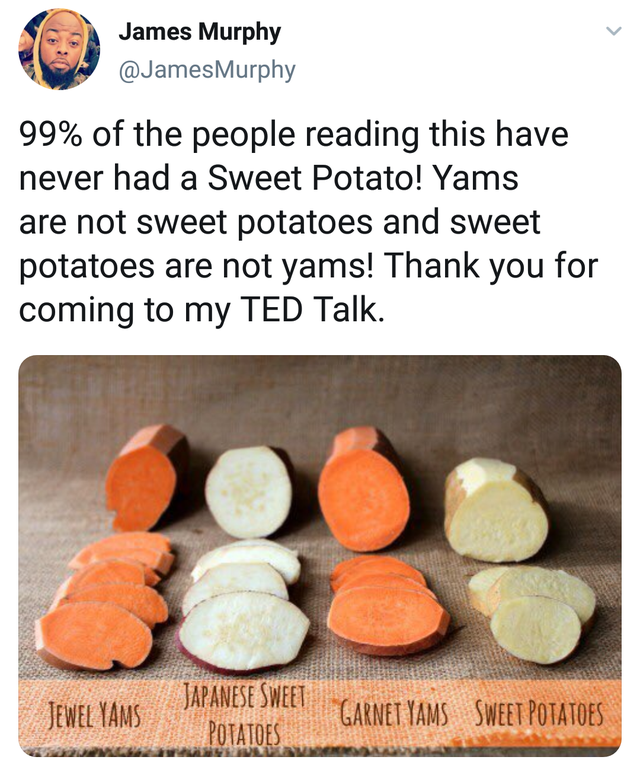 difference between sweet potatoes and yams - James Murphy To 99% of the people reading this have never had a Sweet Potato! Yams are not sweet potatoes and sweet potatoes are not yams! Thank you for coming to my Ted Talk. Jewel Yams Japanese Sweet Potatoes