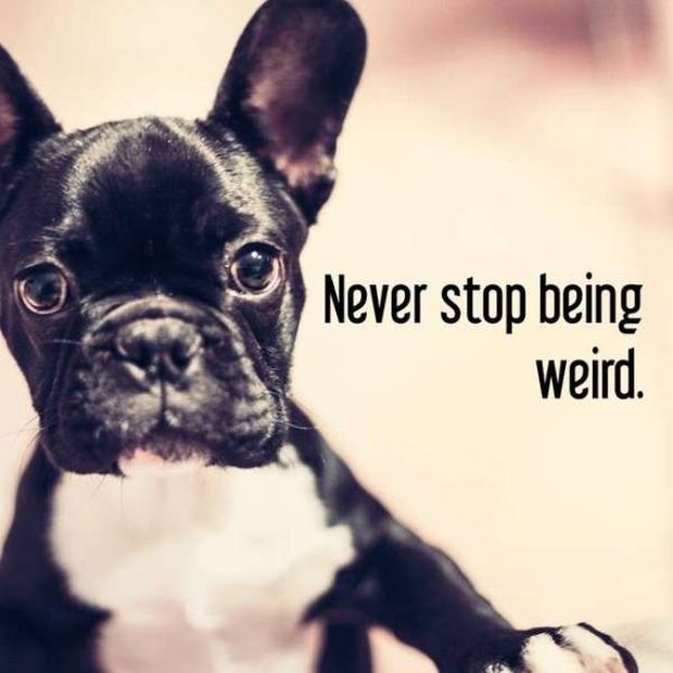 Never stop being weird.