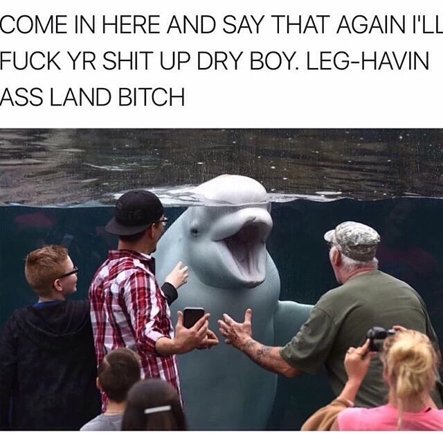 leg havin ass land bitch meme - Come In Here And Say That Again I'Ll Fuck Yr Shit Up Dry Boy. LegHavin Ass Land Bitch