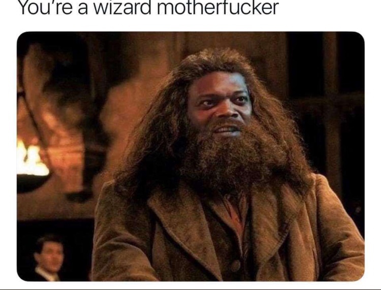 samuel l jackson harry potter meme - You're a wizard motherfucker
