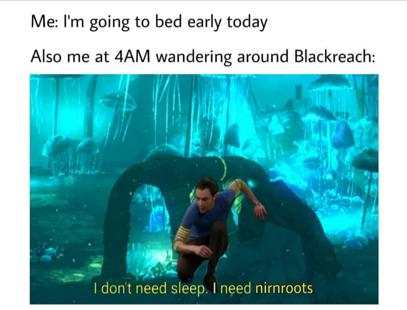 skyrim levels meme - Me I'm going to bed early today Also me at 4AM wandering around Blackreach I don't need sleep. I need nirnroots