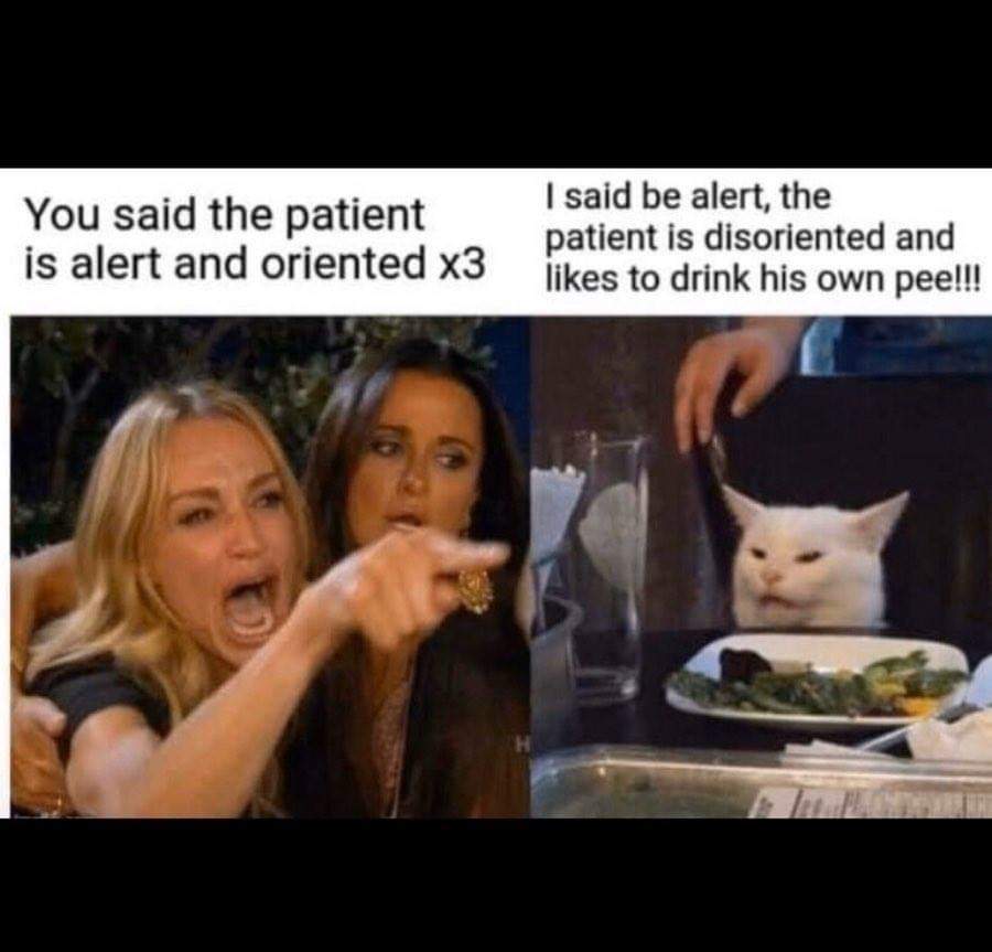 me meowing at my cat - You said the patient I said be alert, the patient is disoriented and to drink his own pee!!!