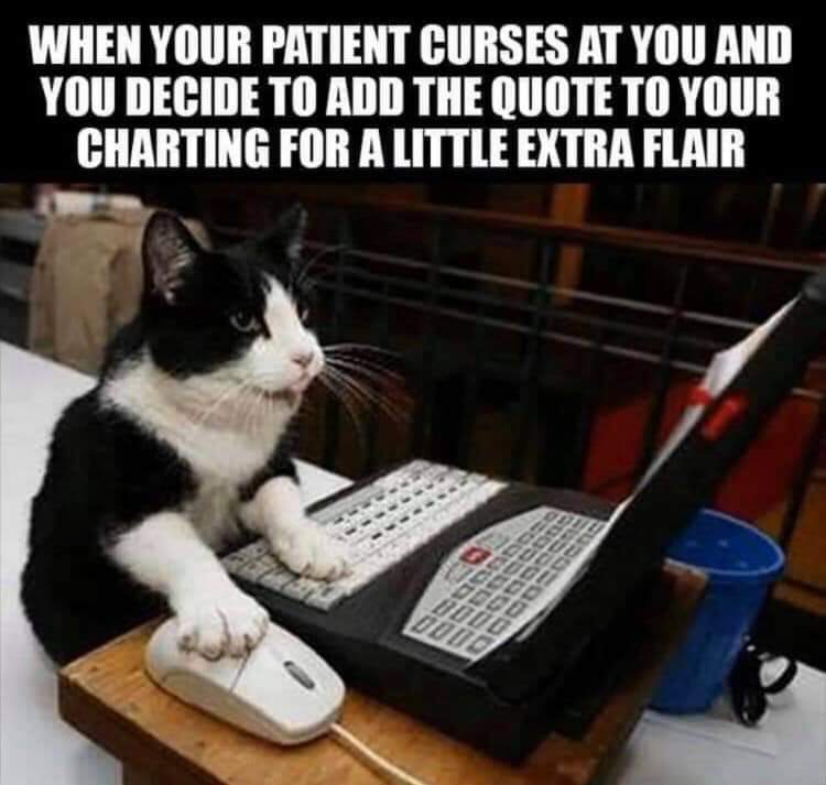 cat in the computer - When Your Patient Curses At You And You Decide To Add The Quote To Your Charting For A Little Extra Flair