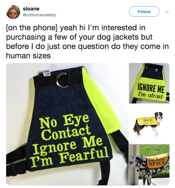 ignore me i m afraid meme - sloane v on the phone yeah hi I'm interested in purchasing a few of your dog jackets but before I do just one question do they come in human sizes Ignore Me I'm afraid Nervous No Eye Contact Ignore Me I'm Fearful Please Give Me