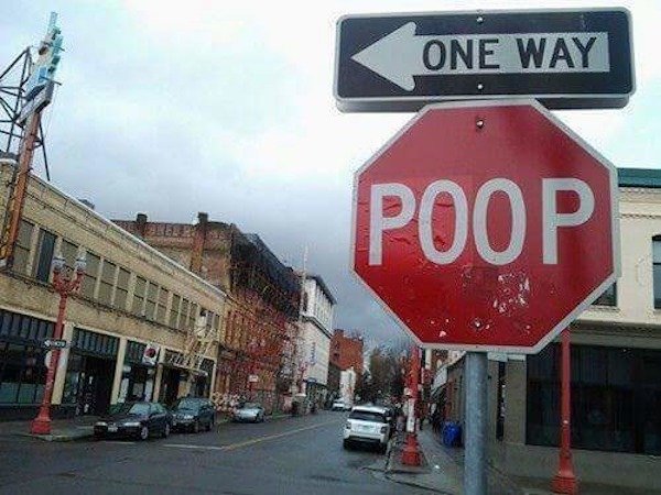poop stop sign - One Way .