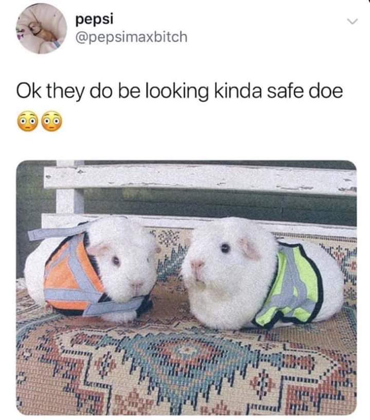 ok but they do be lookin kinda safe - pepsi Ok they do be looking kinda safe doe Liteerthi Ww