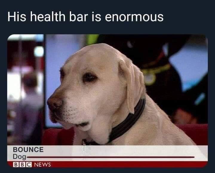 his health bar is enormous - His health bar is enormous Bounce Dog Bbc News