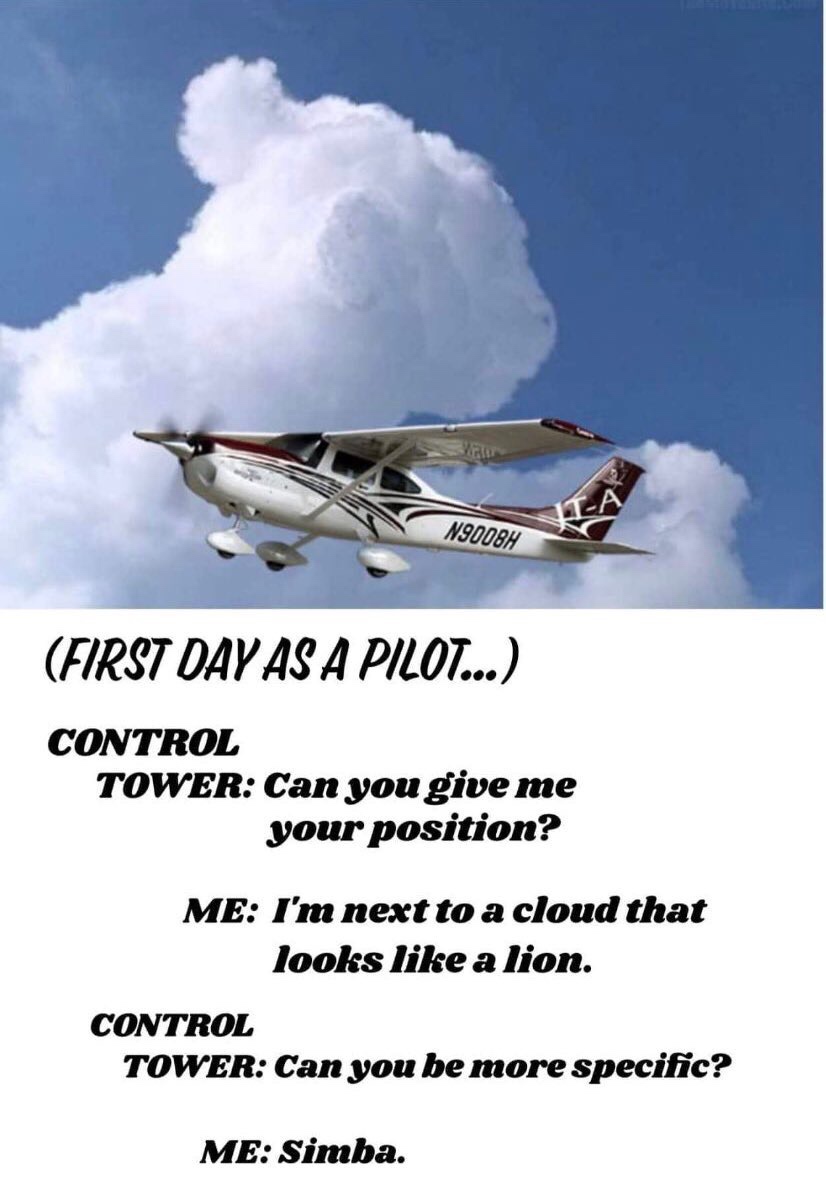 can you be more specific simba - N9008H First Day As A Pilot... Control Tower Can you give me your position? Me I'm next to a cloud that looks a lion. Control Tower Can you be more specific? Me Simba.