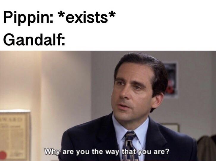 the office - toddler meme - Pippin exists Gandalf Why are you the way that you are?
