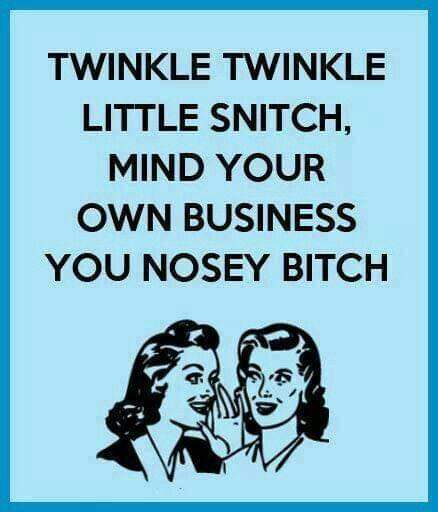 quotes about snitches - Twinkle Twinkle Little Snitch, Mind Your Own Business You Nosey Bitch V