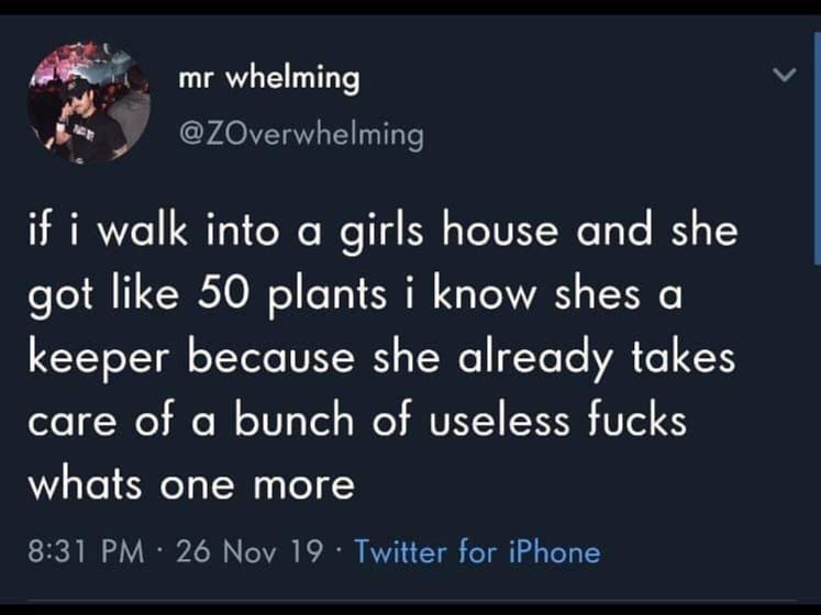 funny tweets on twitter - mr whelming if i walk into a girls house and she got 50 plants i know shes a keeper because she already takes care of a bunch of useless fucks whats one more 26 Nov 19. Twitter for iPhone