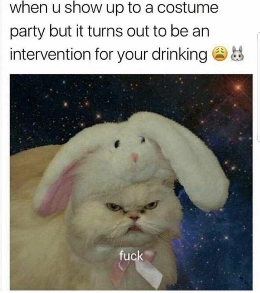 you show up to a costume party - when u show up to a costume party but it turns out to be an intervention for your drinking fuck