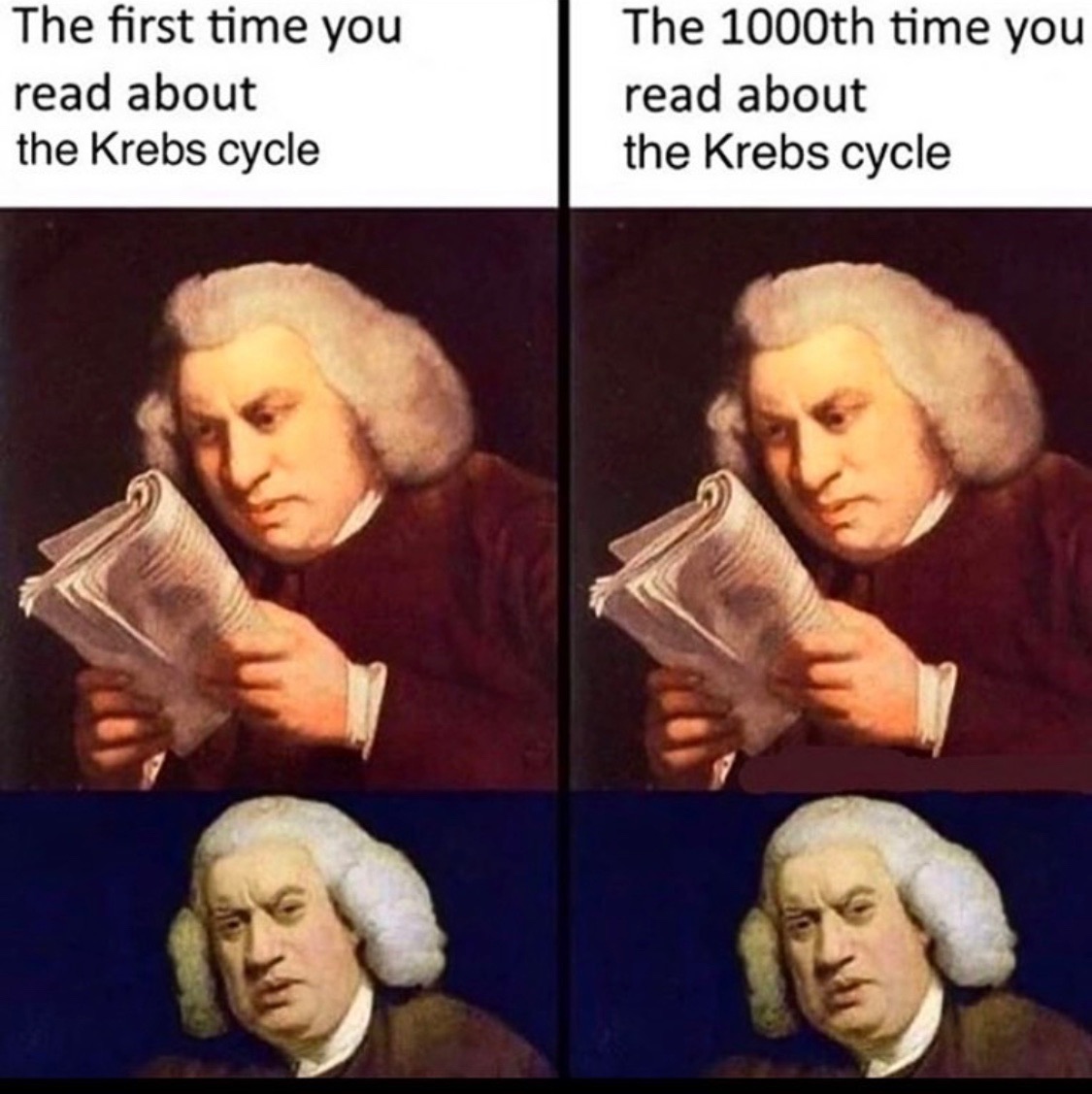 first time you read about the krebs cycle - The first time you read about the Krebs cycle The 1000th time you read about the Krebs cycle