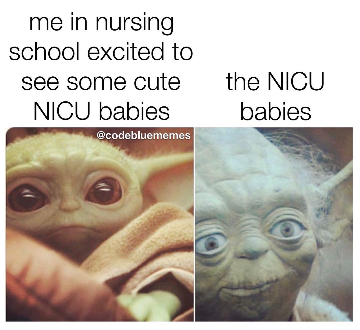 abbott medical optics inc. - me in nursing school excited to see some cute Nicu babies the Nicu babies