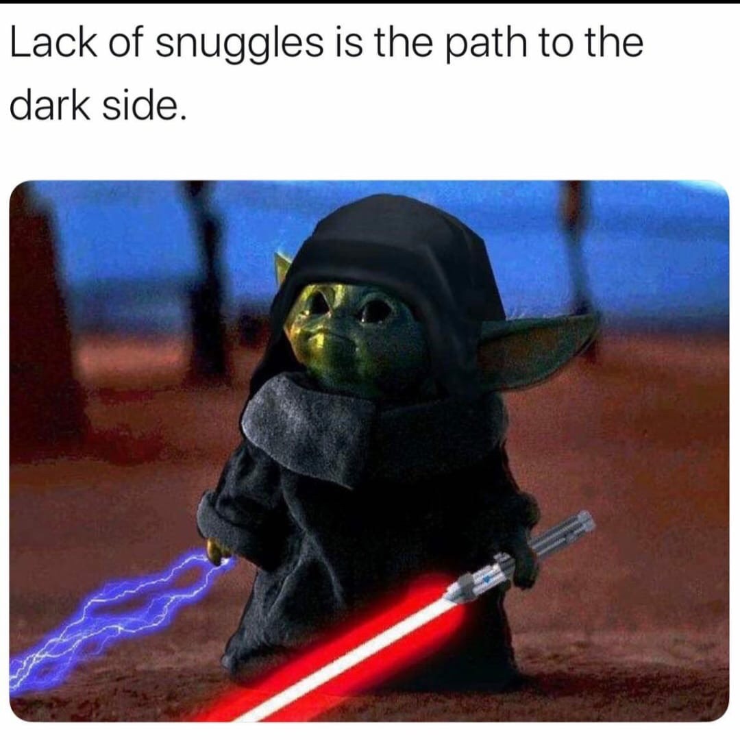 baby yoda memes - Lack of snuggles is the path to the dark side.