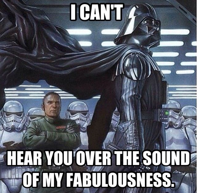 darth vader #2 - I Can'T Hear You Over The Sound Of My Fabulousness.