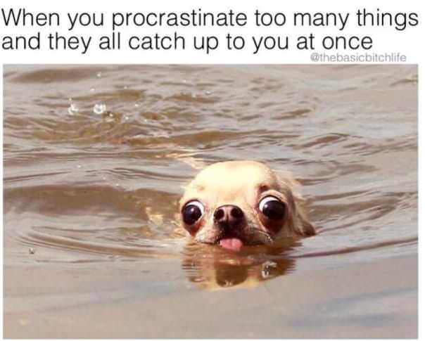 me in the 5ft pool area - When you procrastinate too many things and they all catch up to you at once