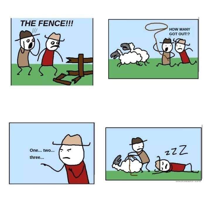 counting sheep 9gag - The Fence!!! How Many Got Out!? One... two... three... zZZ