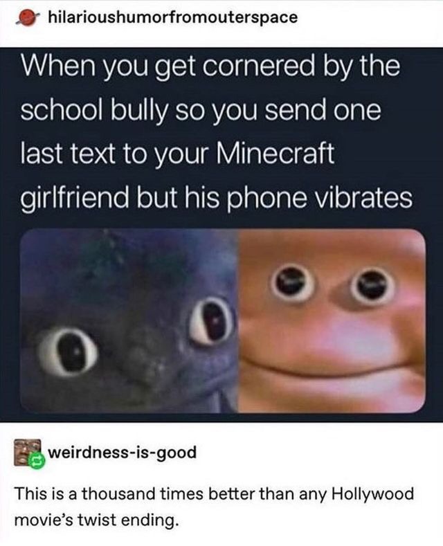 minecraft girlfriend meme - hilarioushumorfromouterspace When you get cornered by the school bully so you send one last text to your Minecraft girlfriend but his phone vibrates weirdnessisgood This is a thousand times better than any Hollywood movie's twi