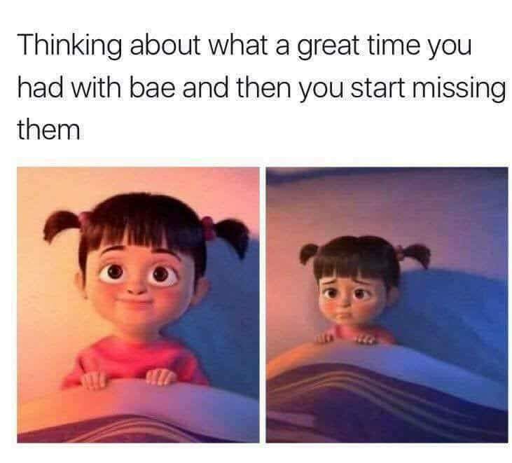 memes for boyfriend - Thinking about what a great time you had with bae and then you start missing them